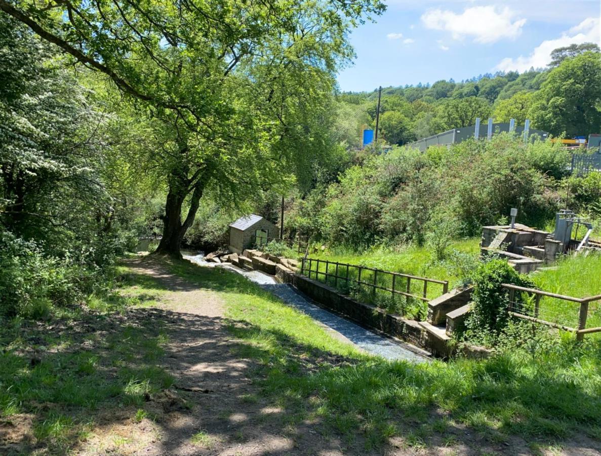 Old Co Op House -Forest Of Dean Bream Екстер'єр фото